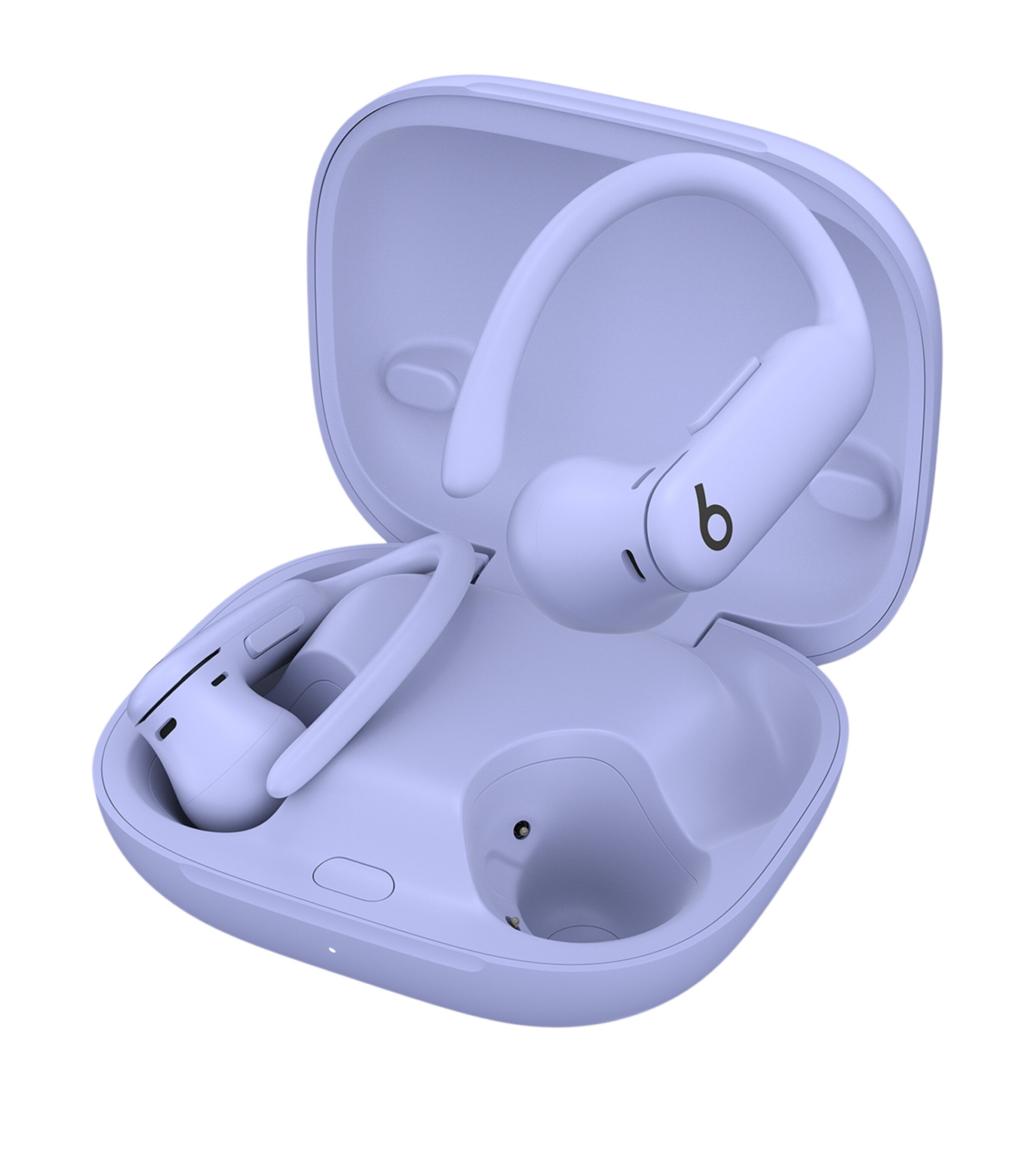 Powerbeats Pro 2 Earbuds PURPLE Image 2