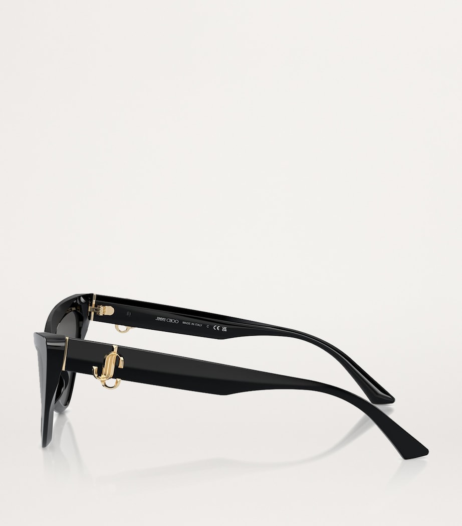 Acetate JC5008 Sunglasses 500087 Image 3