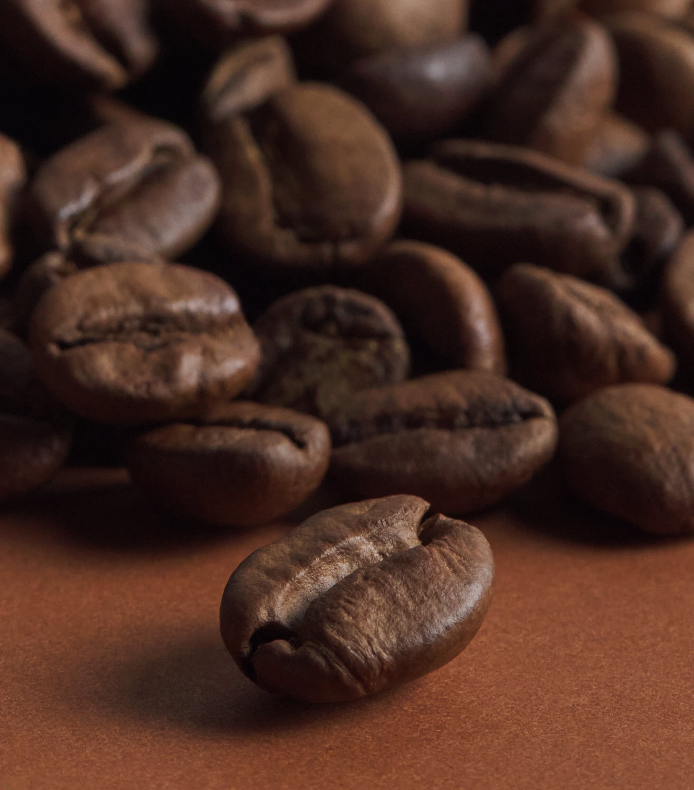 Harrods Breakfast Blend Coffee Beans (250g) Image 2