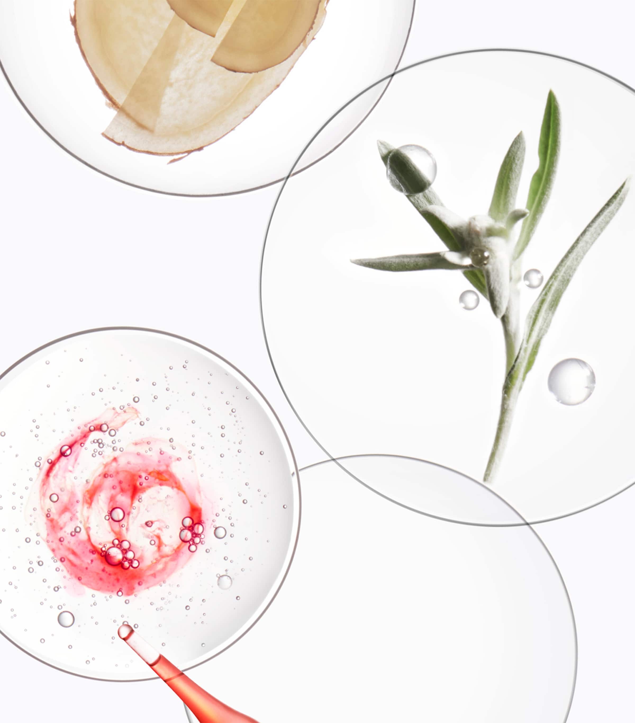 Genesis Discovery Haircare Gift Set NO COLOUR Image 4