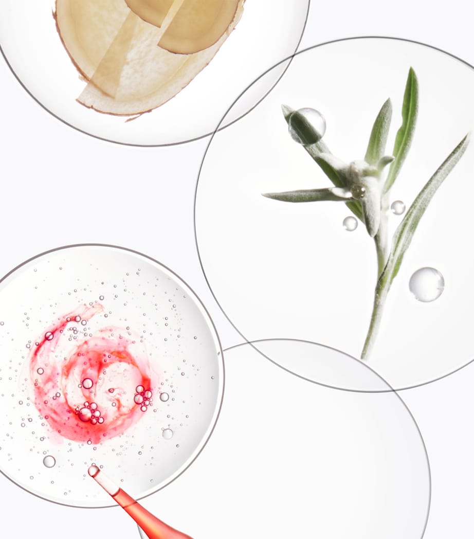 Genesis Discovery Haircare Gift Set NO COLOUR Image 4