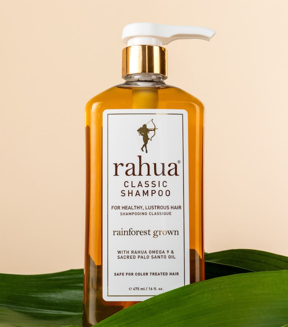 Classic Shampoo (473ml) NO COLOUR Image 2