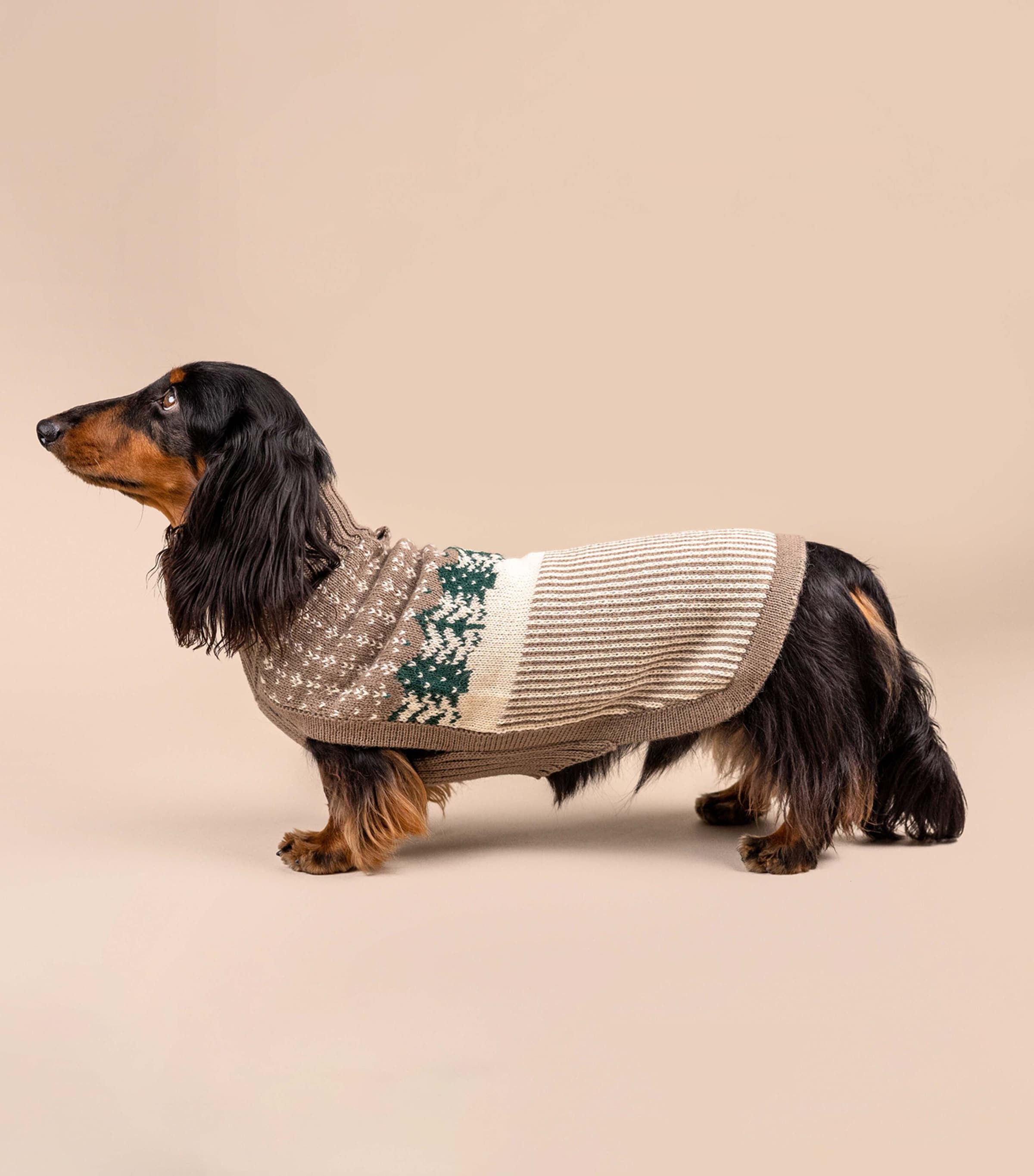ALQO WASI Alpaca-Blend Frosted Grove Dog Sweater (Small) Frosted Grove Image 3