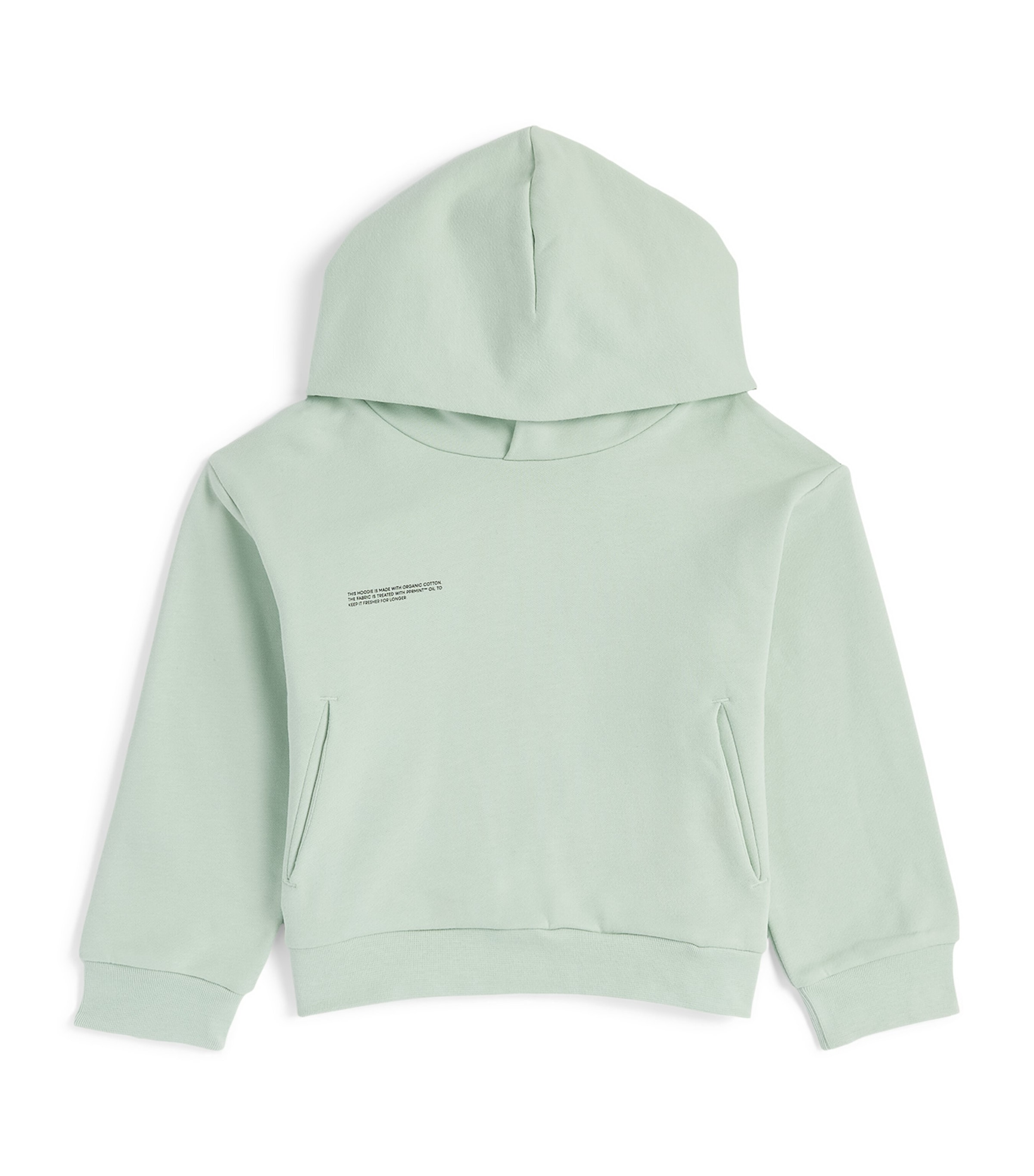 Pangaia Kids' Organic Cotton 365 Hoodie In Green