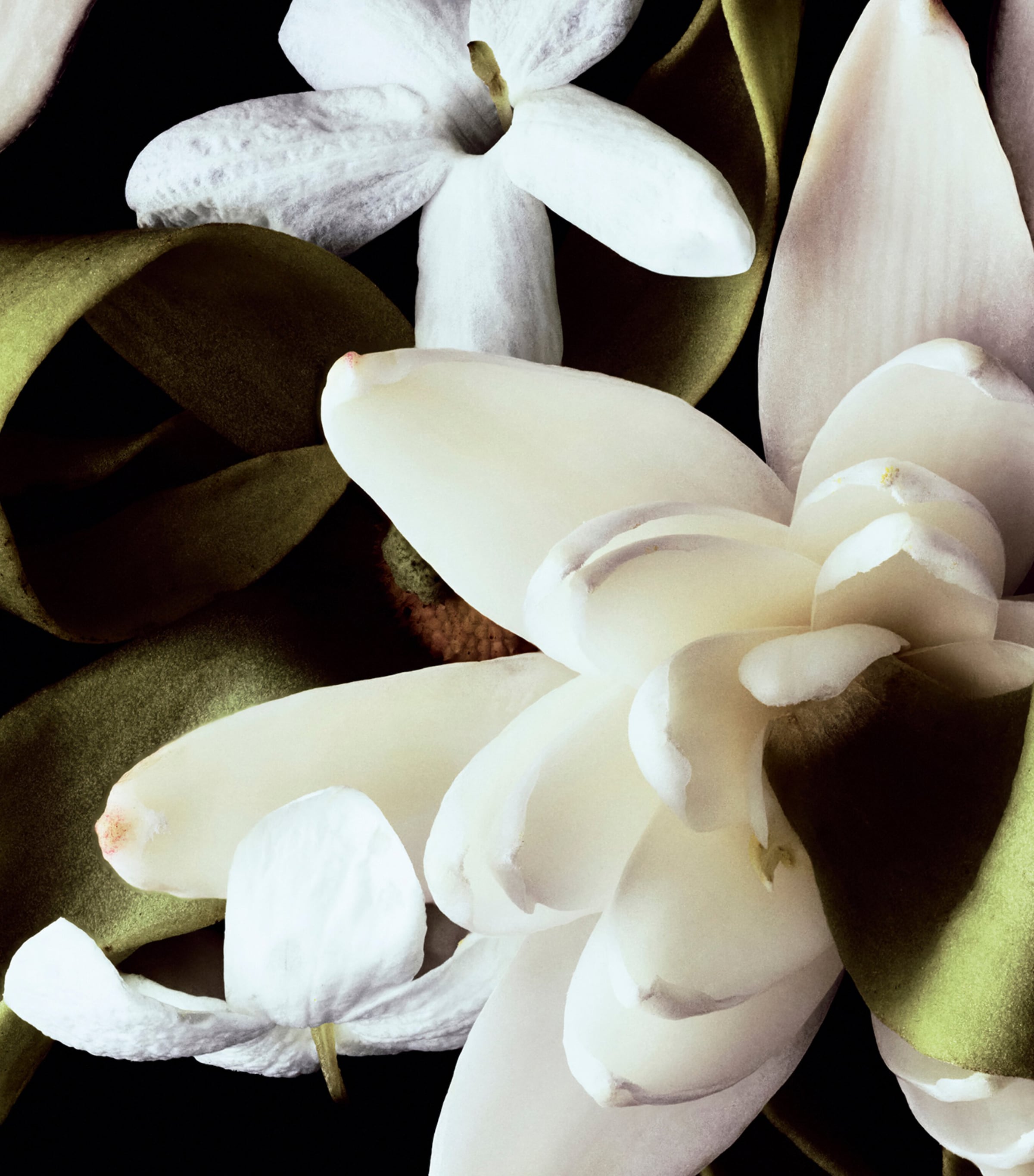 CHANEL GARDÉNIA Extrait de Parfum (30ml) Image 3