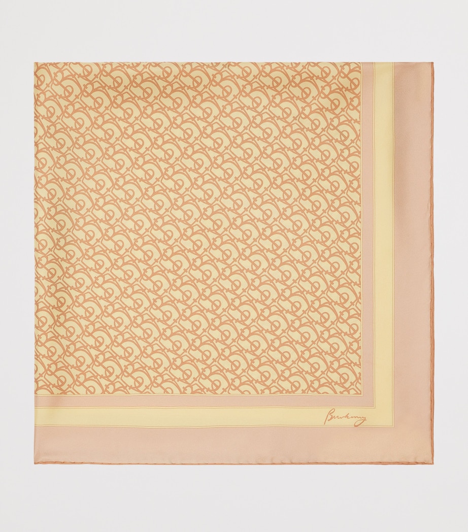 Silk B-Charm Scarf TEACUP Image 2