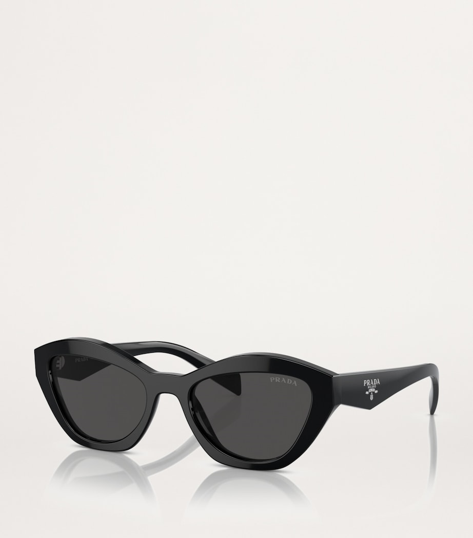 Cat-Eye Sunglasses 16K08Z Image 2