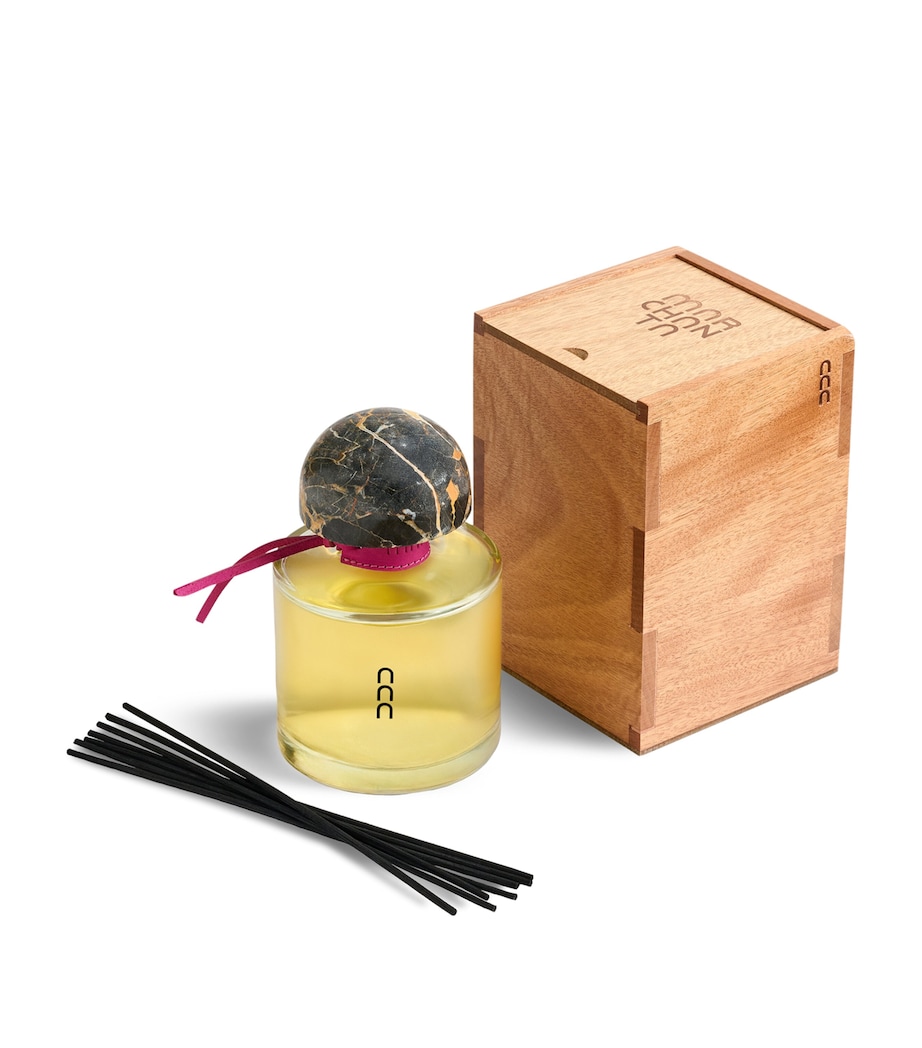 Rosa Bayahibe Botella Diffuser (500ml) CLEAR Image 3