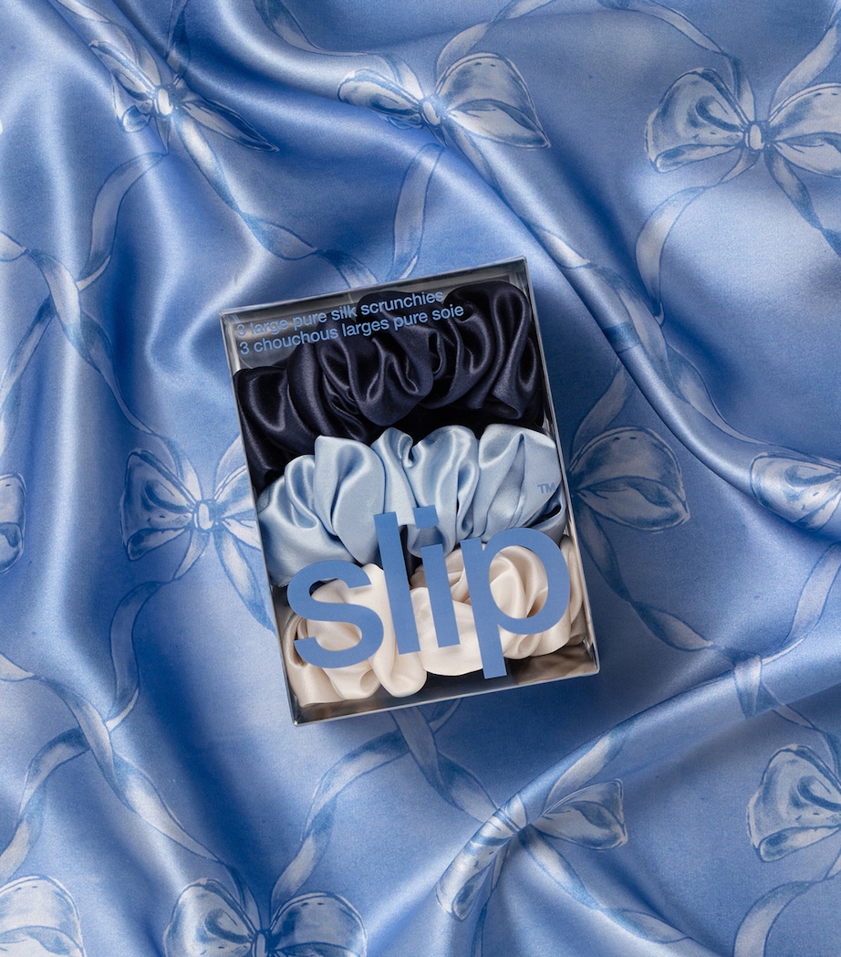 Slip Pure Silk Large Scrunchies (Pack of 4) Skye Image 5
