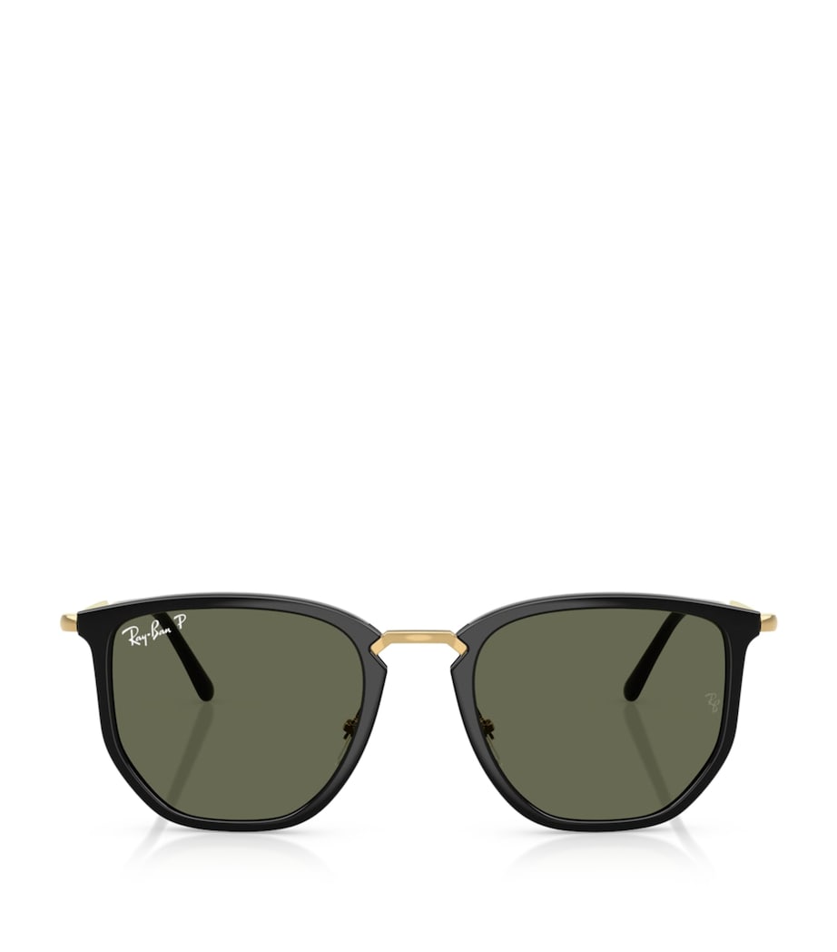RB4451 Irregular Sunglasses 630658 Image 1