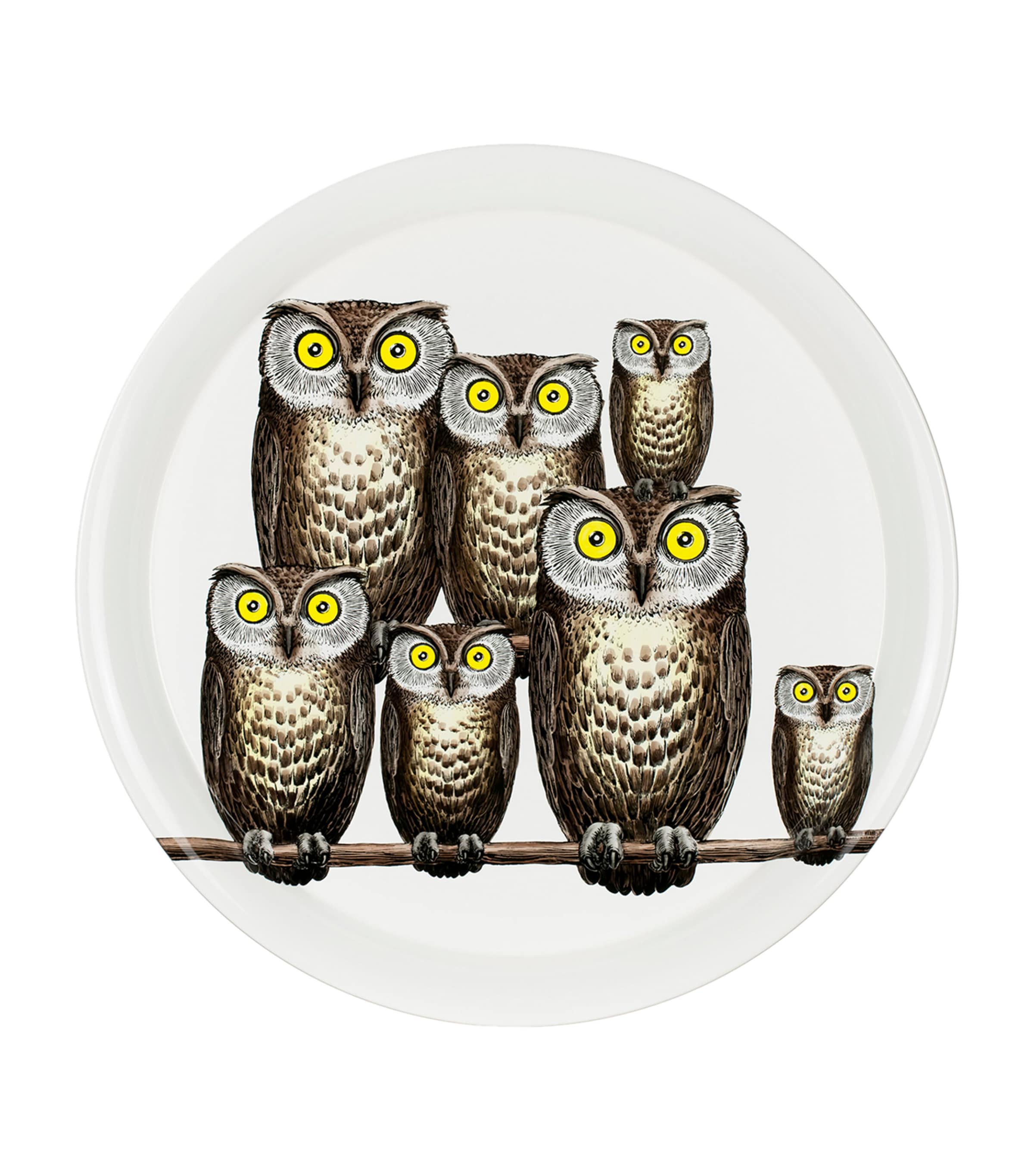 Civette Tray (60cm) MULTI Image 1