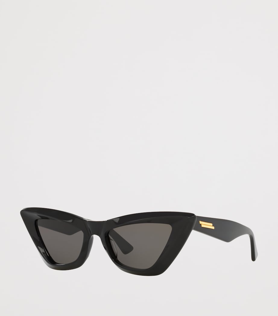 Acetate 06J000303 Sunglasses 1100L1 Image 2