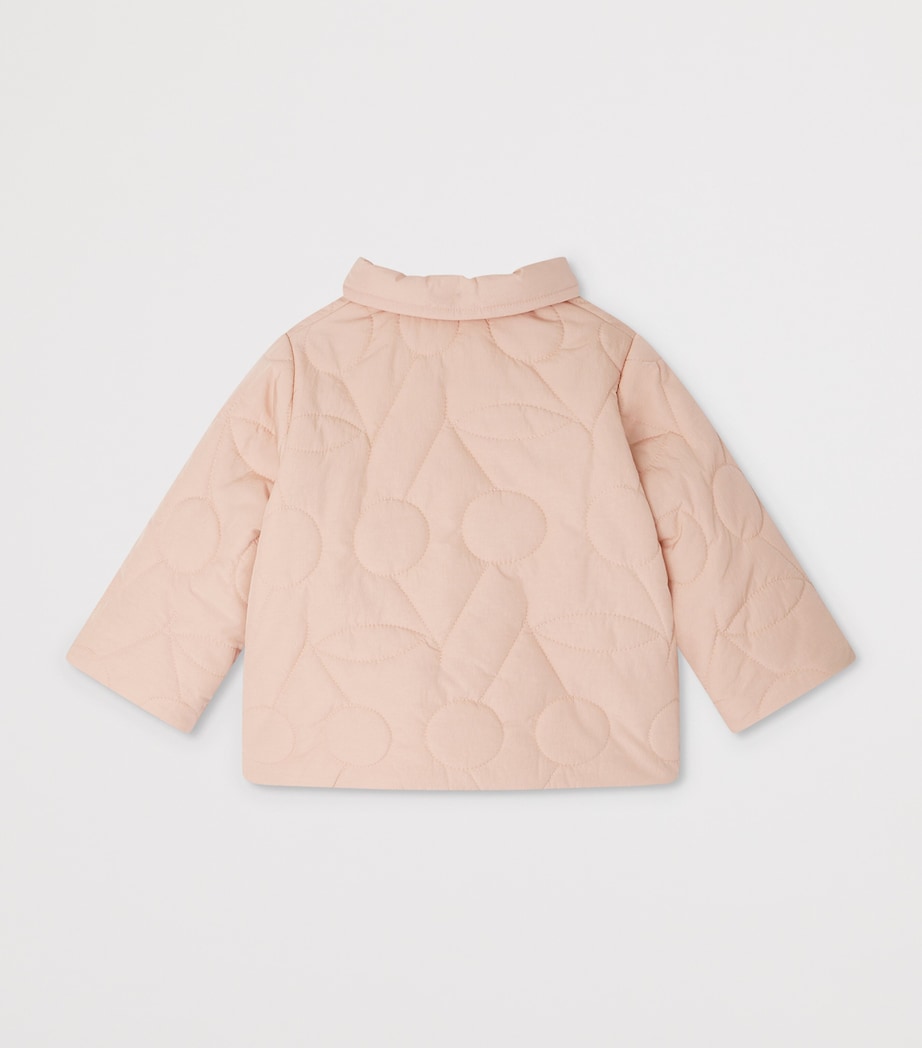 Padded Jacket (6-18 Months) ROSE FARD Image 2