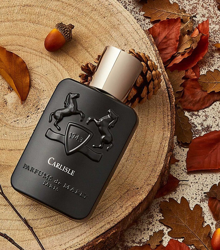 Carlisle Eau de Parfum (125ml) NO COLOUR Image 3