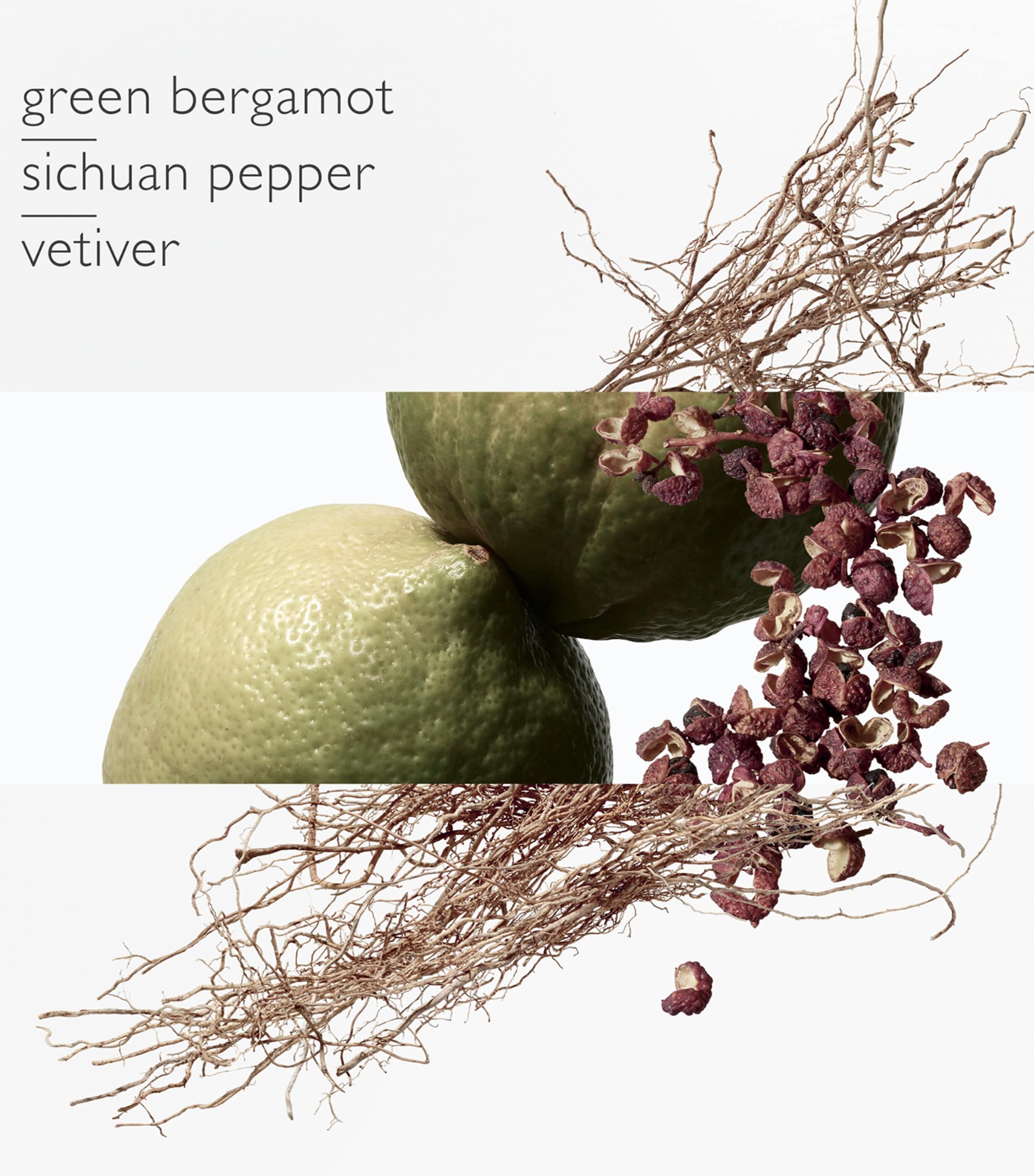 Terre d'Hermès Eau Intense Vétiver Eau de Parfum (200ml) NO COLOUR Image 4