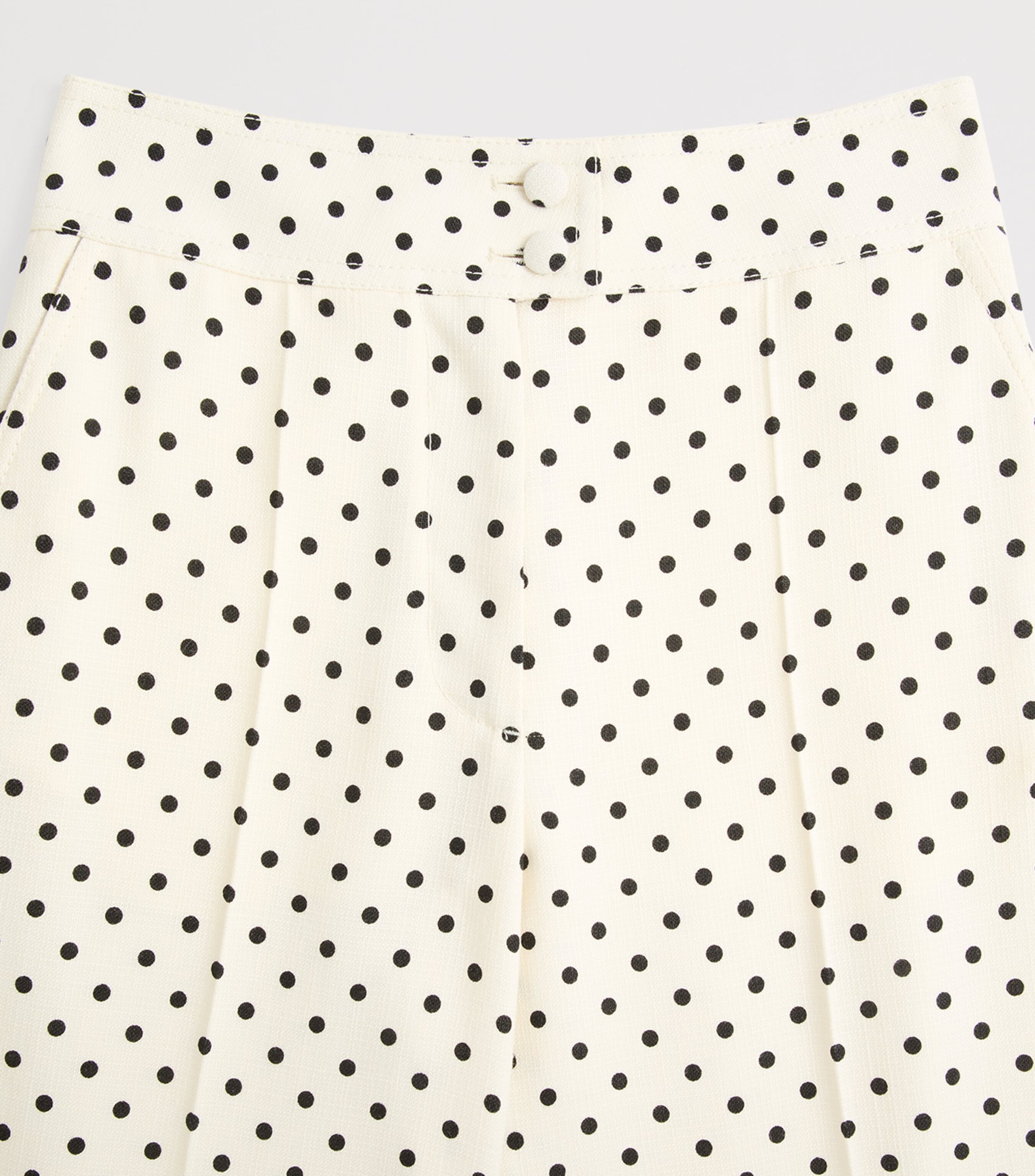 Polka Dot Wide-Leg Trousers R8E Image 6