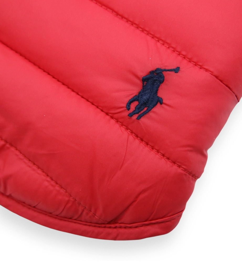 Reversible Puffer Dog Jacket (M) RED/HUNTER NAVY Image 4