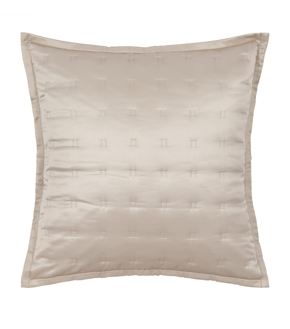 Silk Windsor Square Cushion (65cm x 65cm) BLUSH Image 1