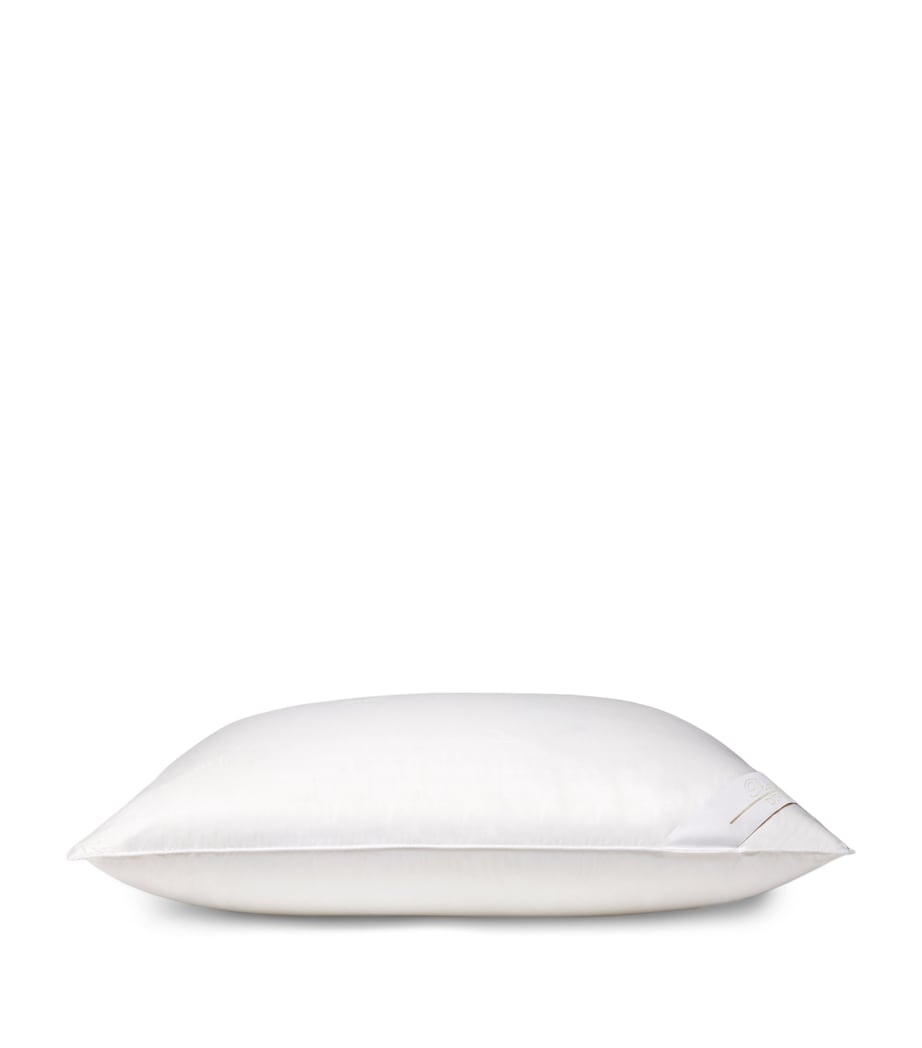 Down Divino Pillow (50cm x 75cm) NO COLOUR Image 1