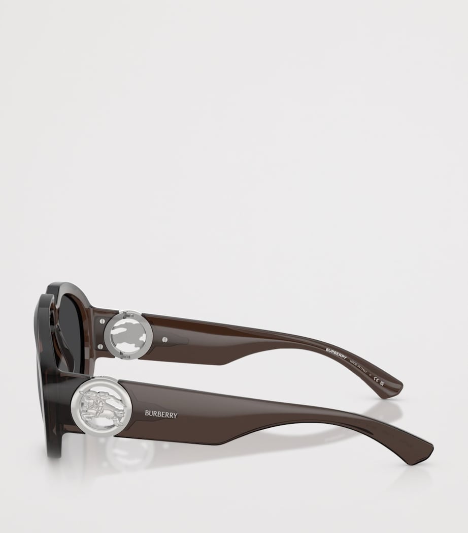 Pilot Sunglasses 41126G Image 3