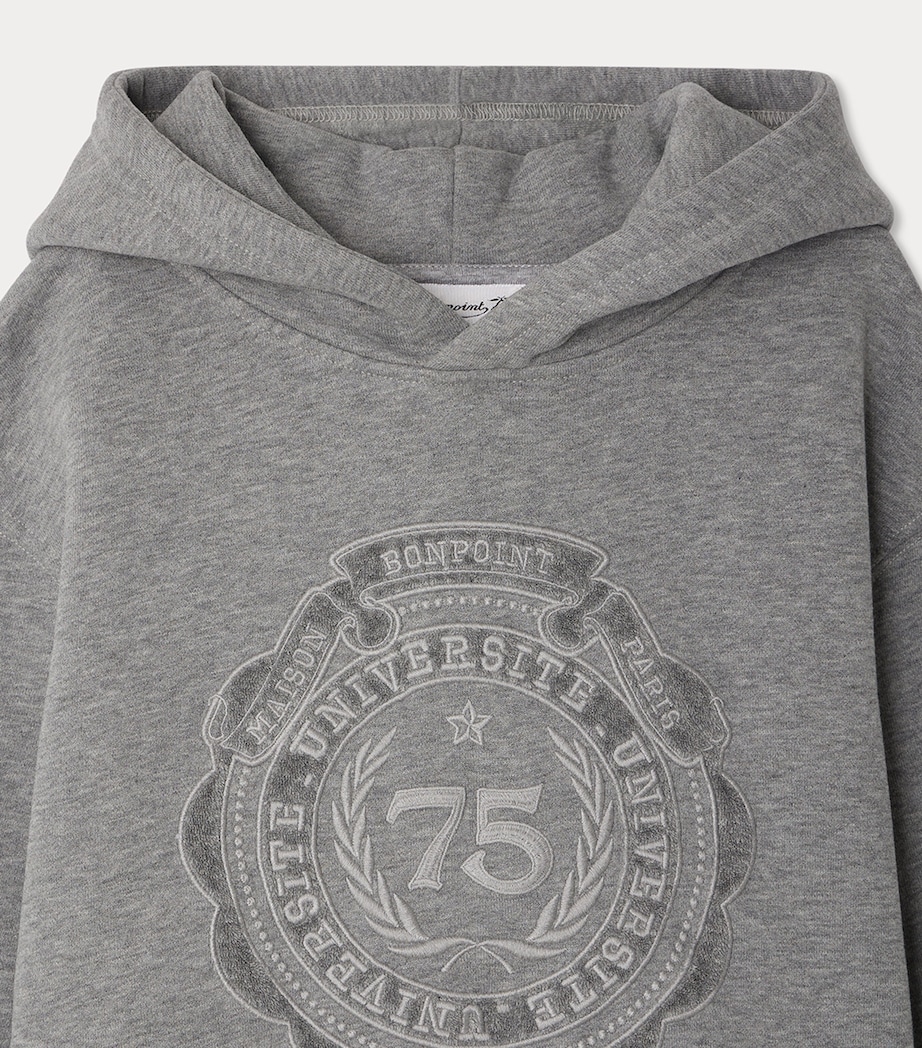 Cotton Jessim Hoodie (4-8 Years) GRIS CHINE MOYEN Image 3