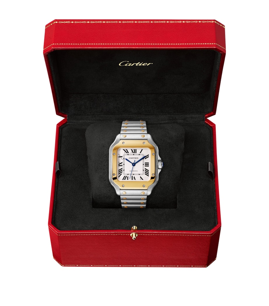 Yellow Gold and Stainless Steel Santos de Cartier Watch 35.1mm SILVER Image 5