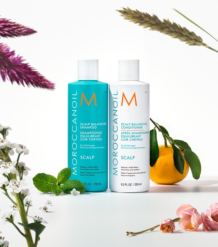 Scalp Balancing Shampoo (250ml) NO COLOUR Image 2