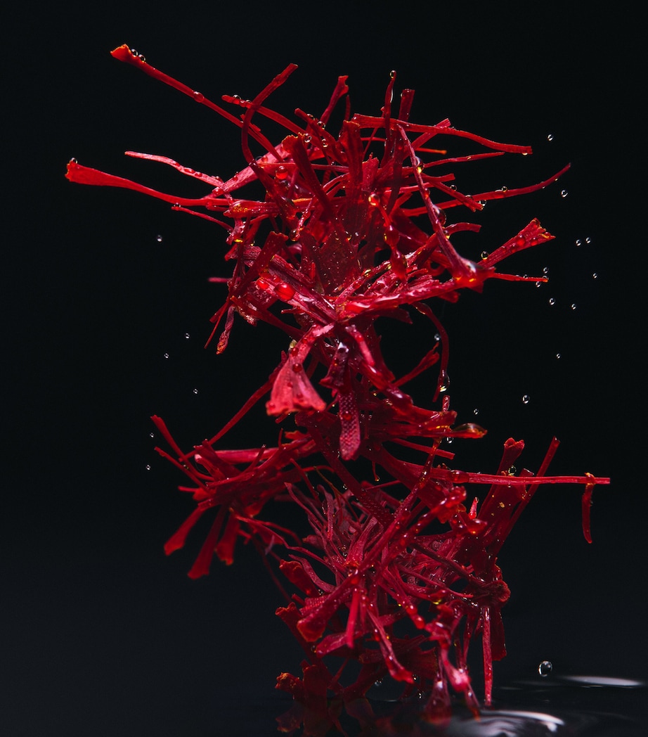 Velvet Zafferano Eau de Parfum (100ml) NO COLOUR Image 3