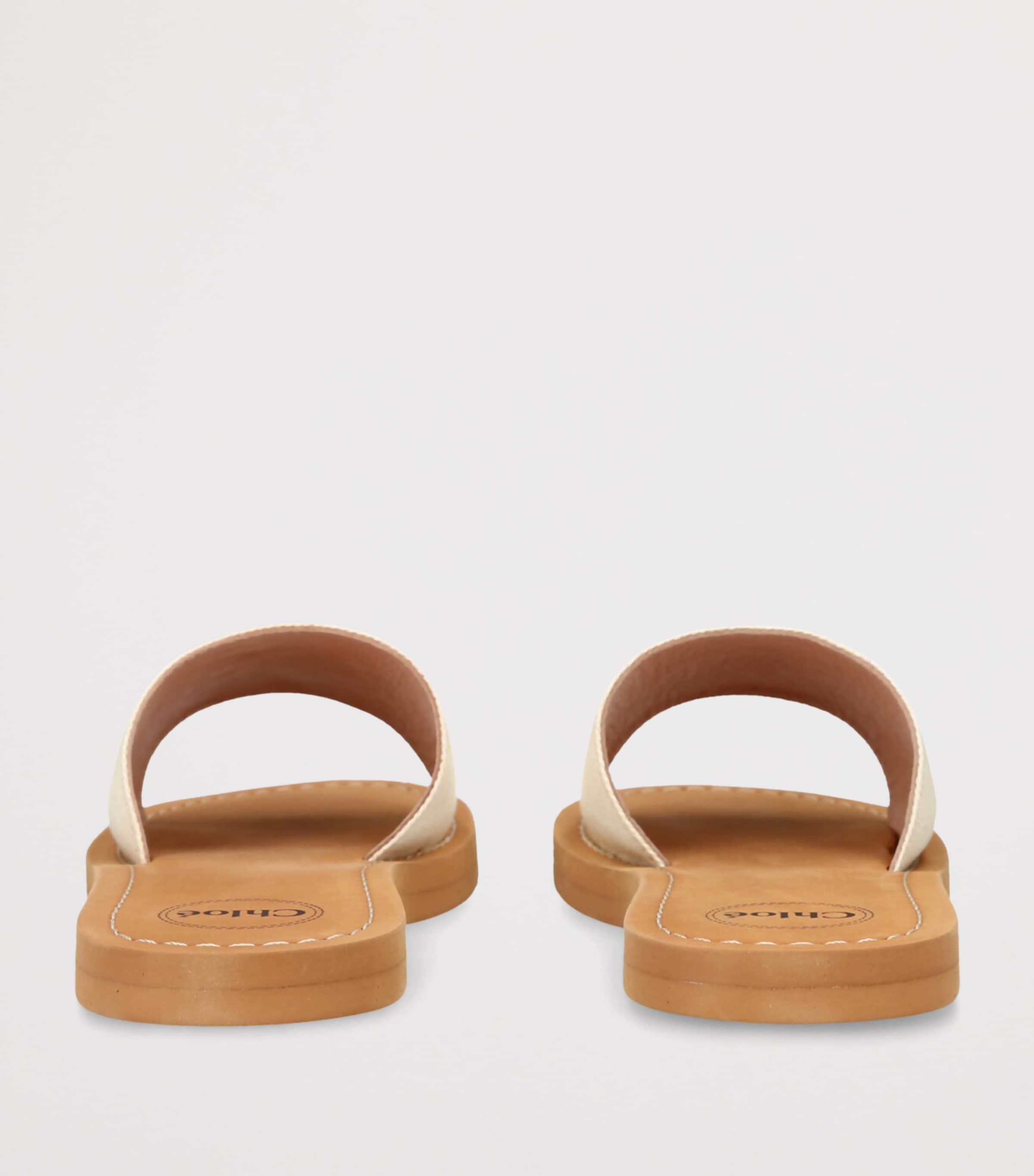 Canvas Logo Slides WHITE Image 2