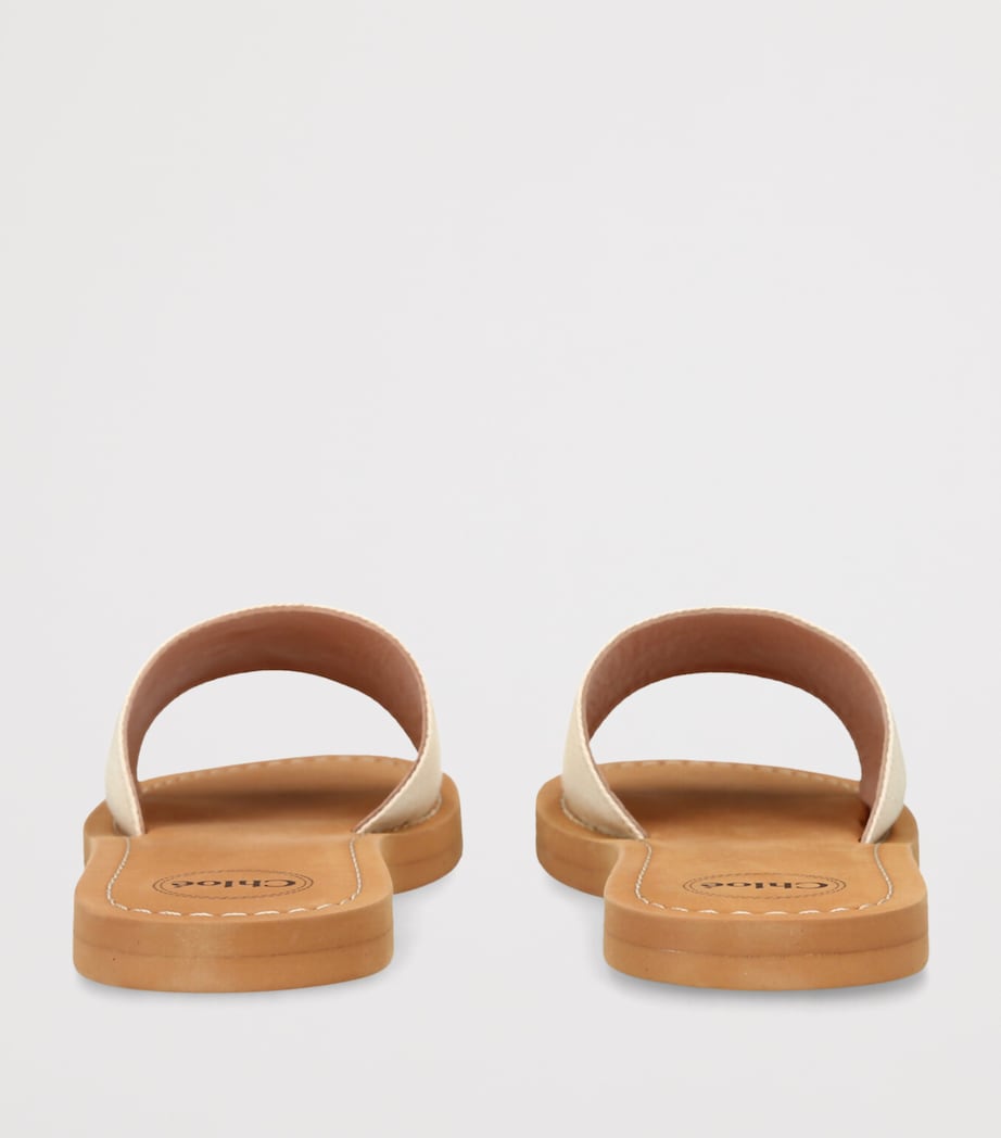 Canvas Logo Slides WHITE Image 2