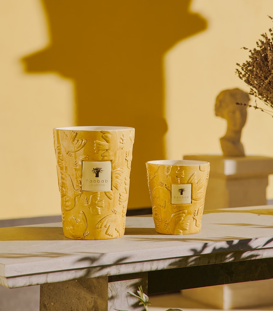 Baobab Collection Dove Scented Candle (3kg) Yellow Image 5