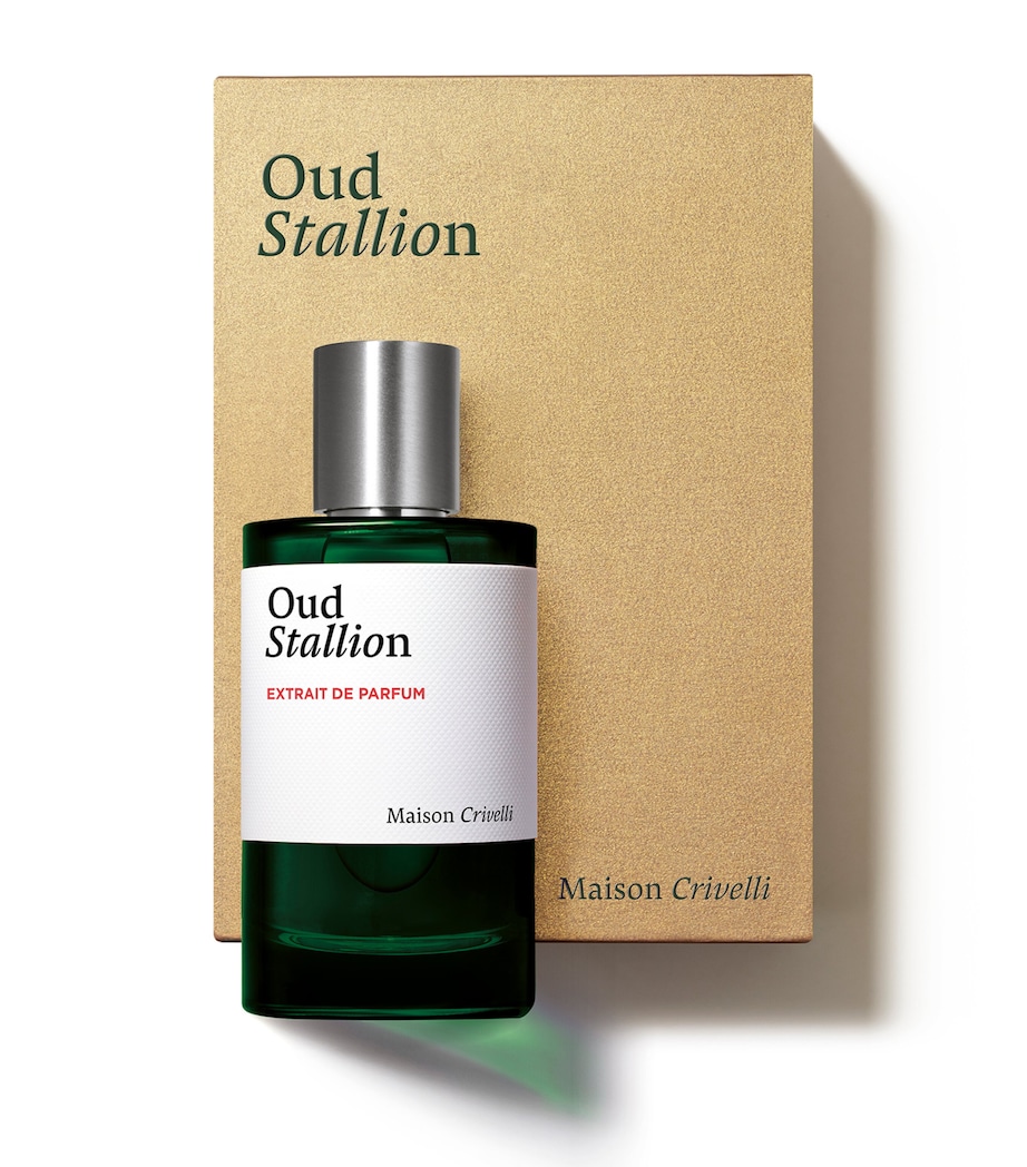 x Jordi Fernandez Oud Stallion Extrait de Parfum (100ml) NO COLOUR Image 2