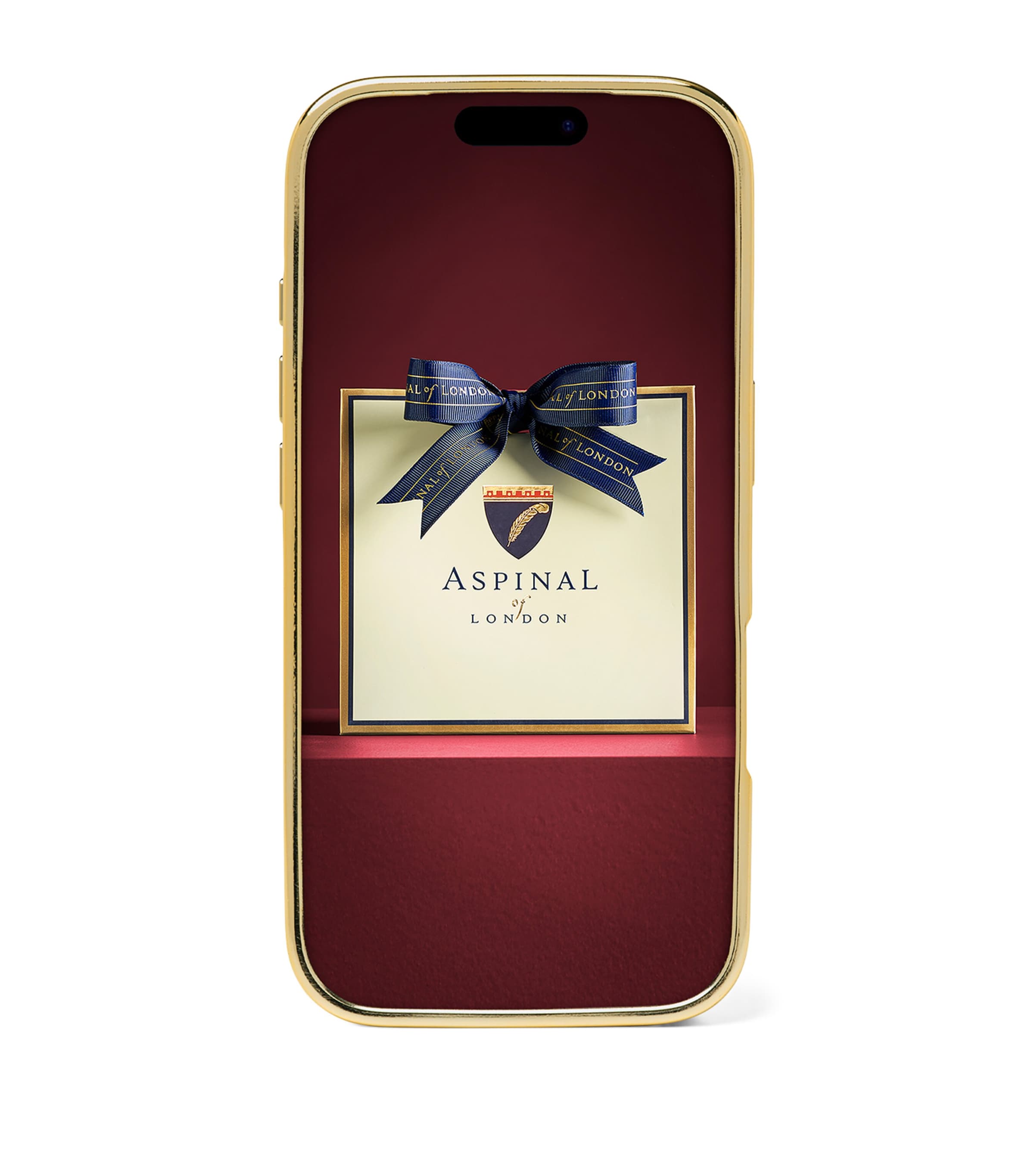 Aspinal Of London Leather iPhone 17 Pro Case Cherry Image 2
