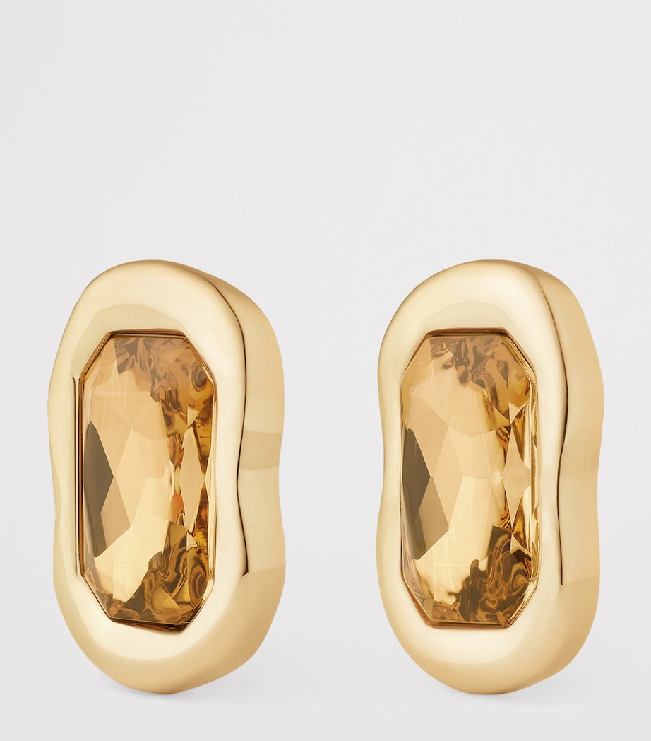 Embellished Sculptural Earrings BROWN/GOLDEN Image 3