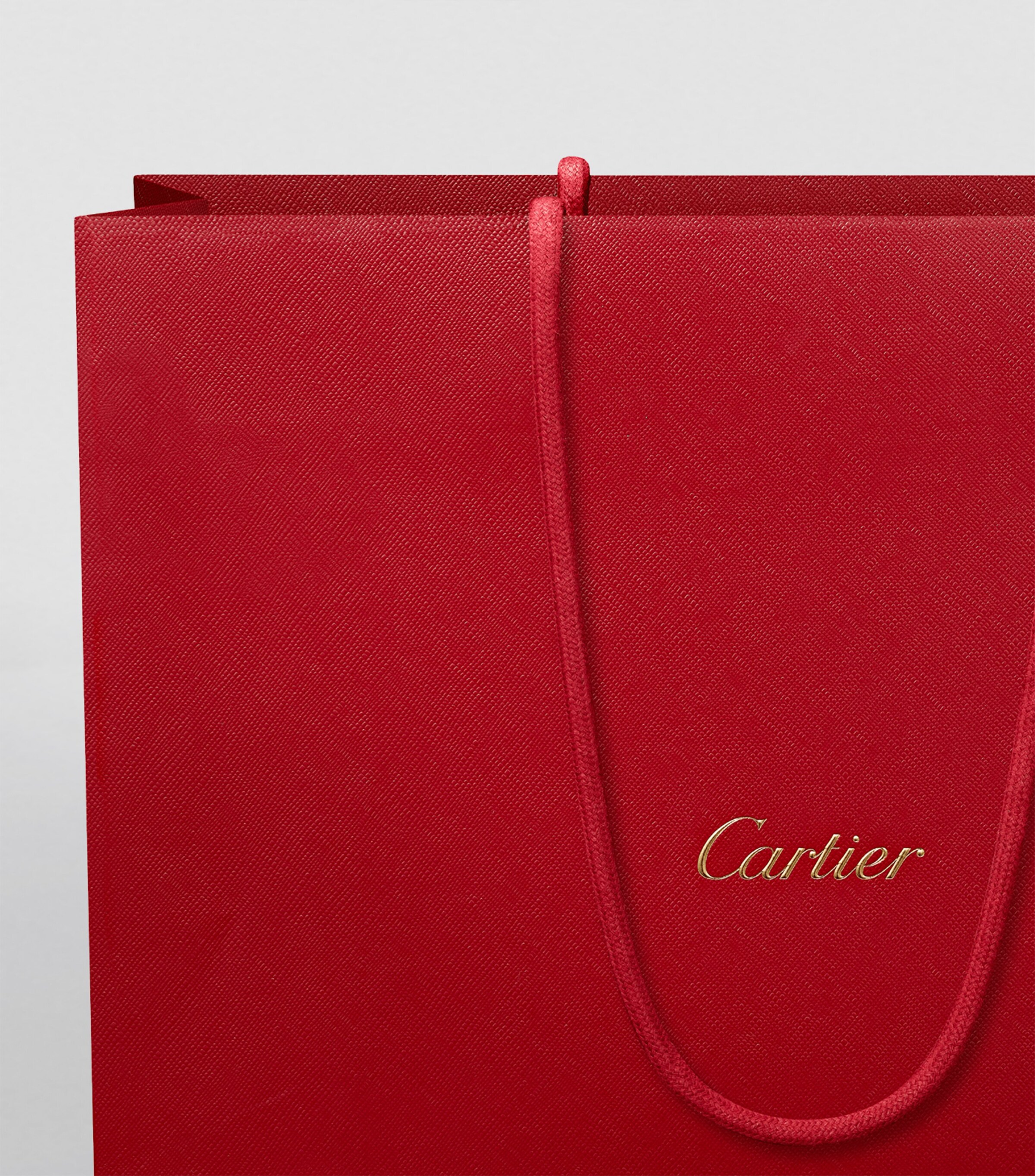 Mini Leather Panthère de Cartier Cross-Body Bag RED Image 9