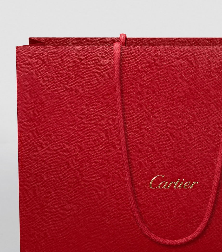 Mini Leather Panthère de Cartier Cross-Body Bag RED Image 9