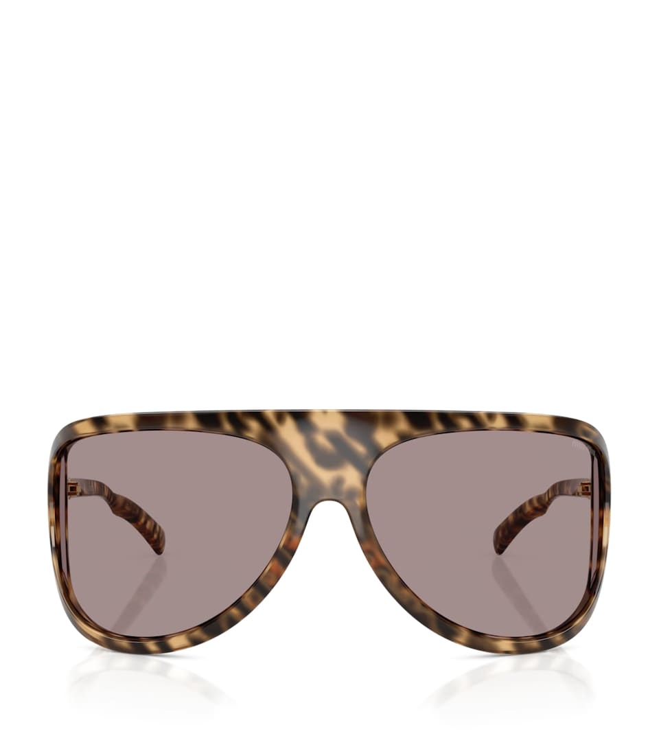 Injected Aviator Sunglasses