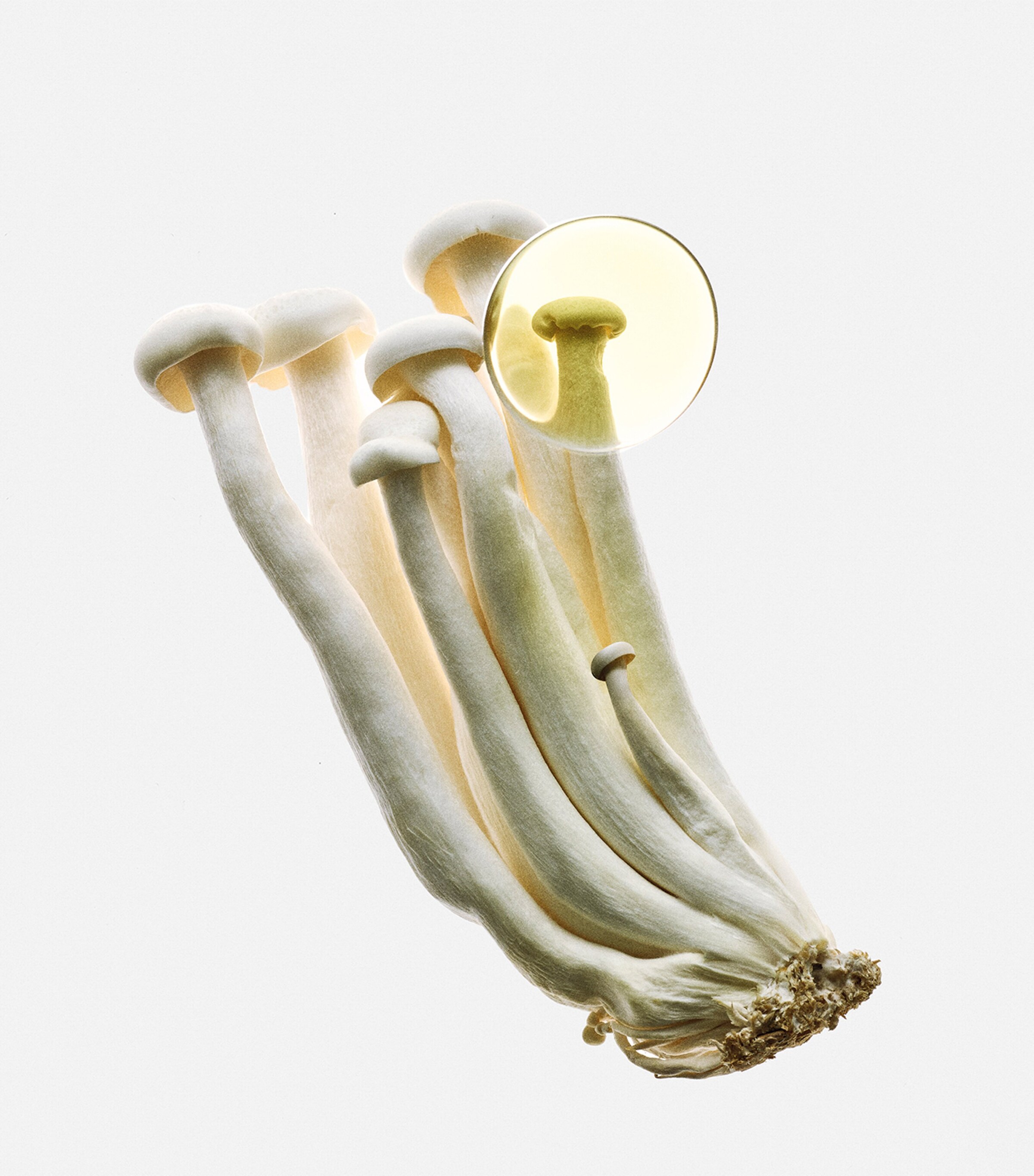 Earth Elixir Eau de Parfum (50ml) NO COLOUR Image 3