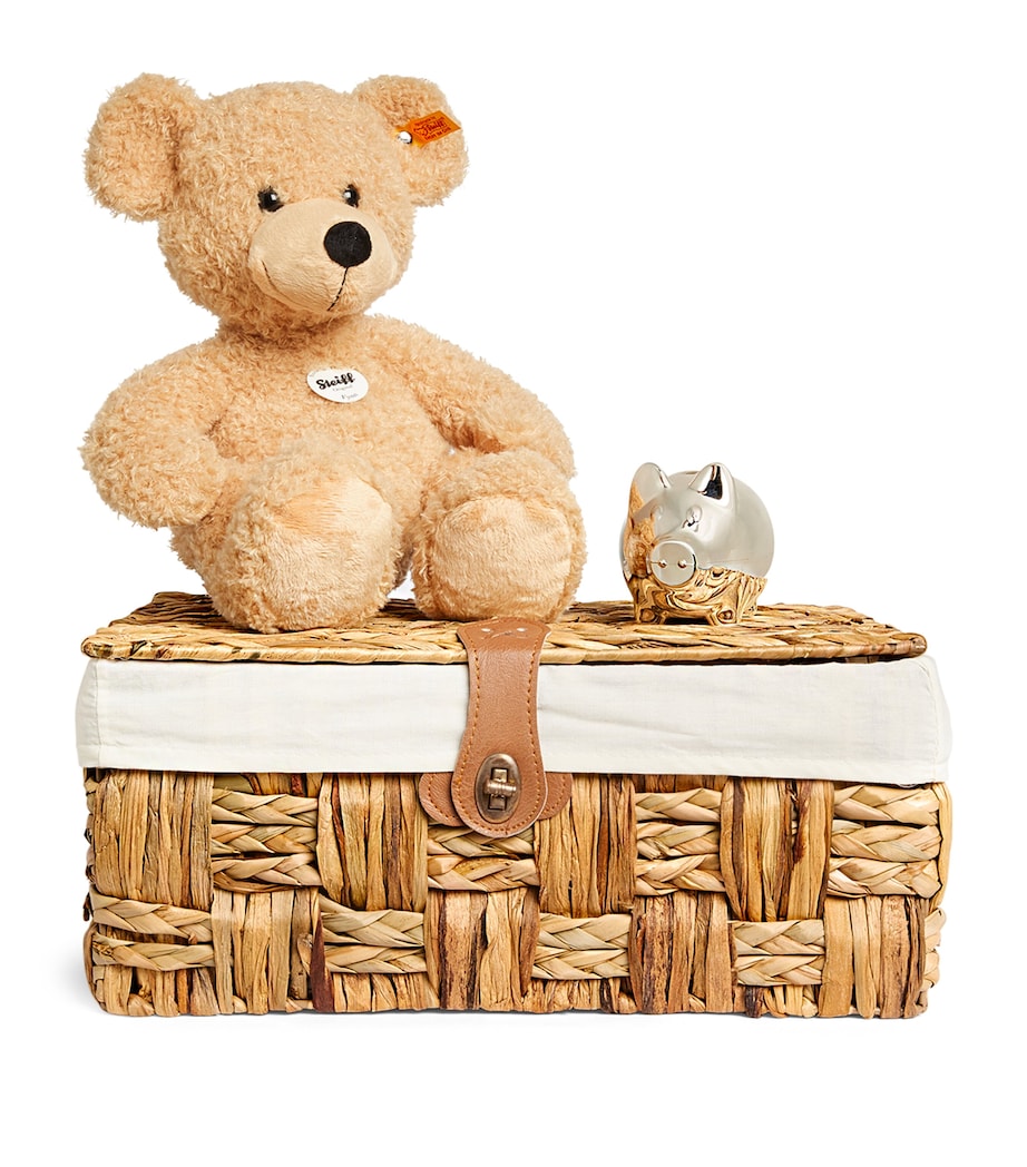 New Baby Boy Hamper DUCK EGG Image 4