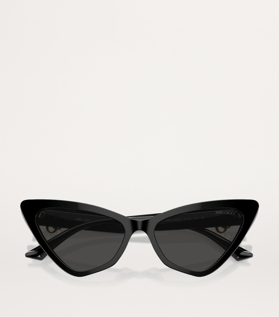 Acetate JC5008 Sunglasses 500087 Image 4