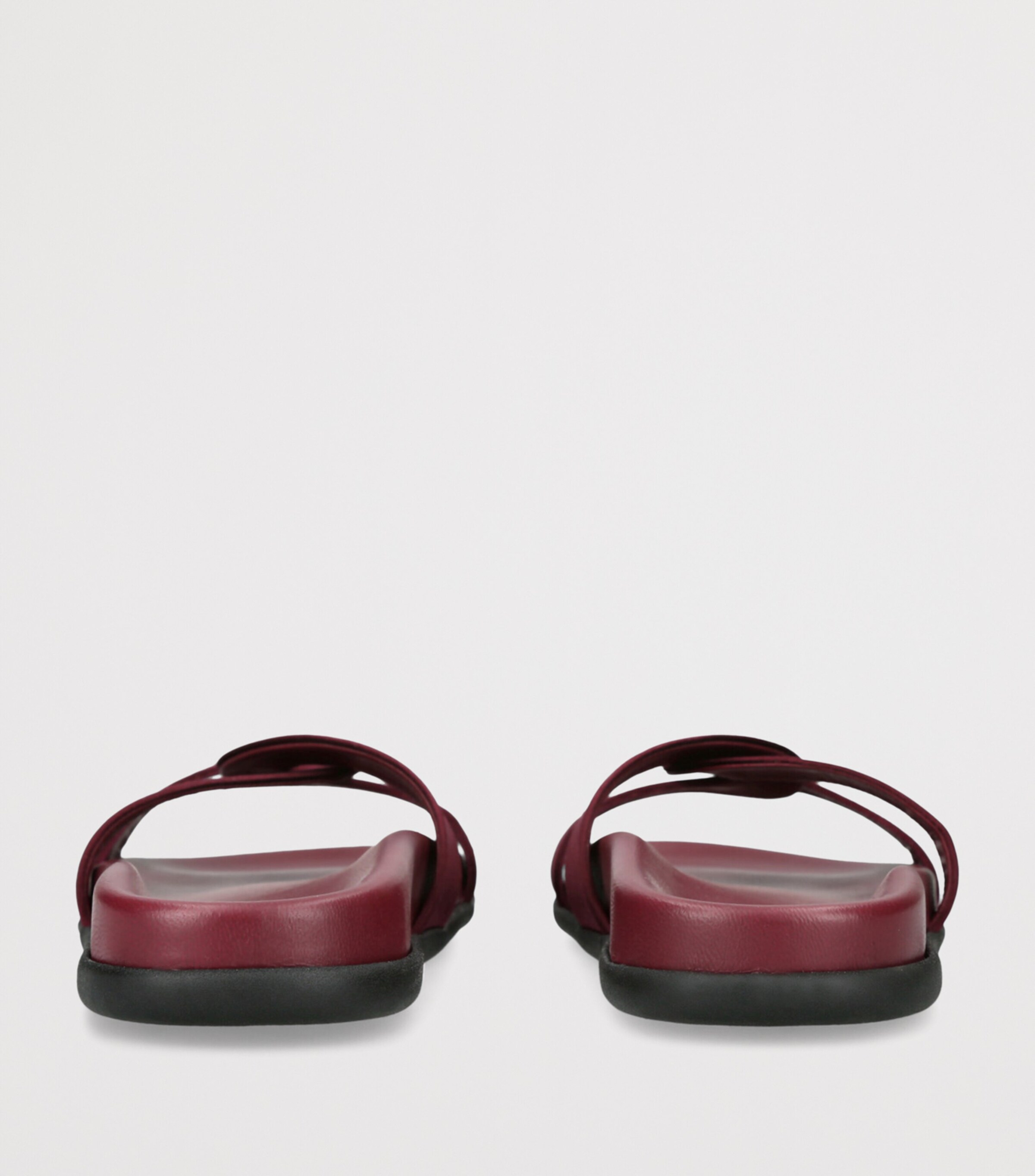 Satin Desmos Slides WINE Image 2