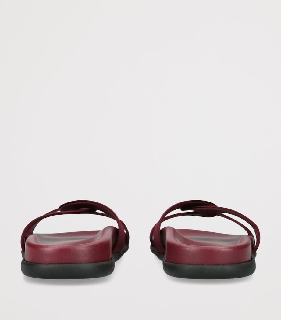 Satin Desmos Slides WINE Image 2