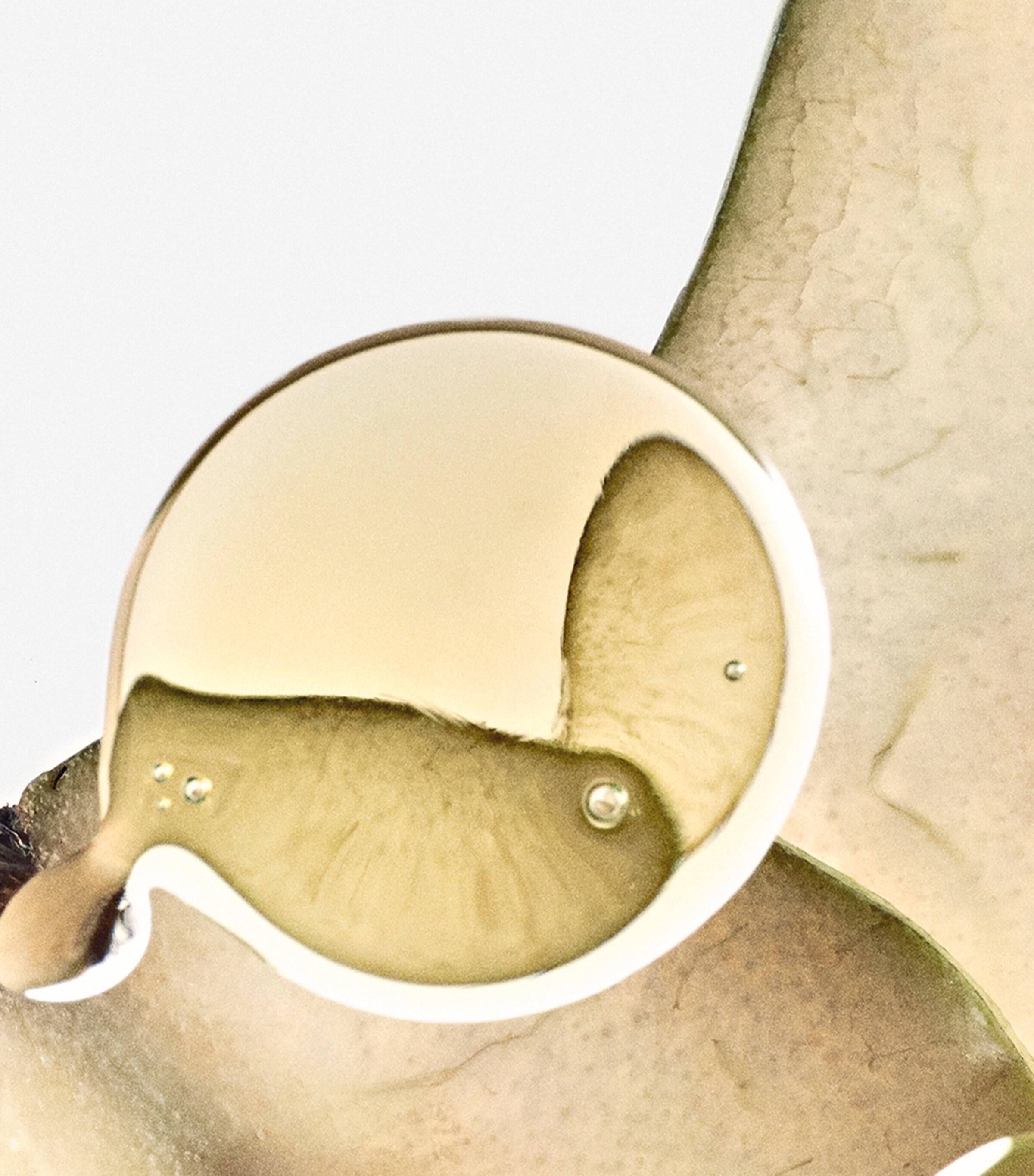 Solo Ella Elixir Eau de Parfum (100ml) NO COLOUR Image 3