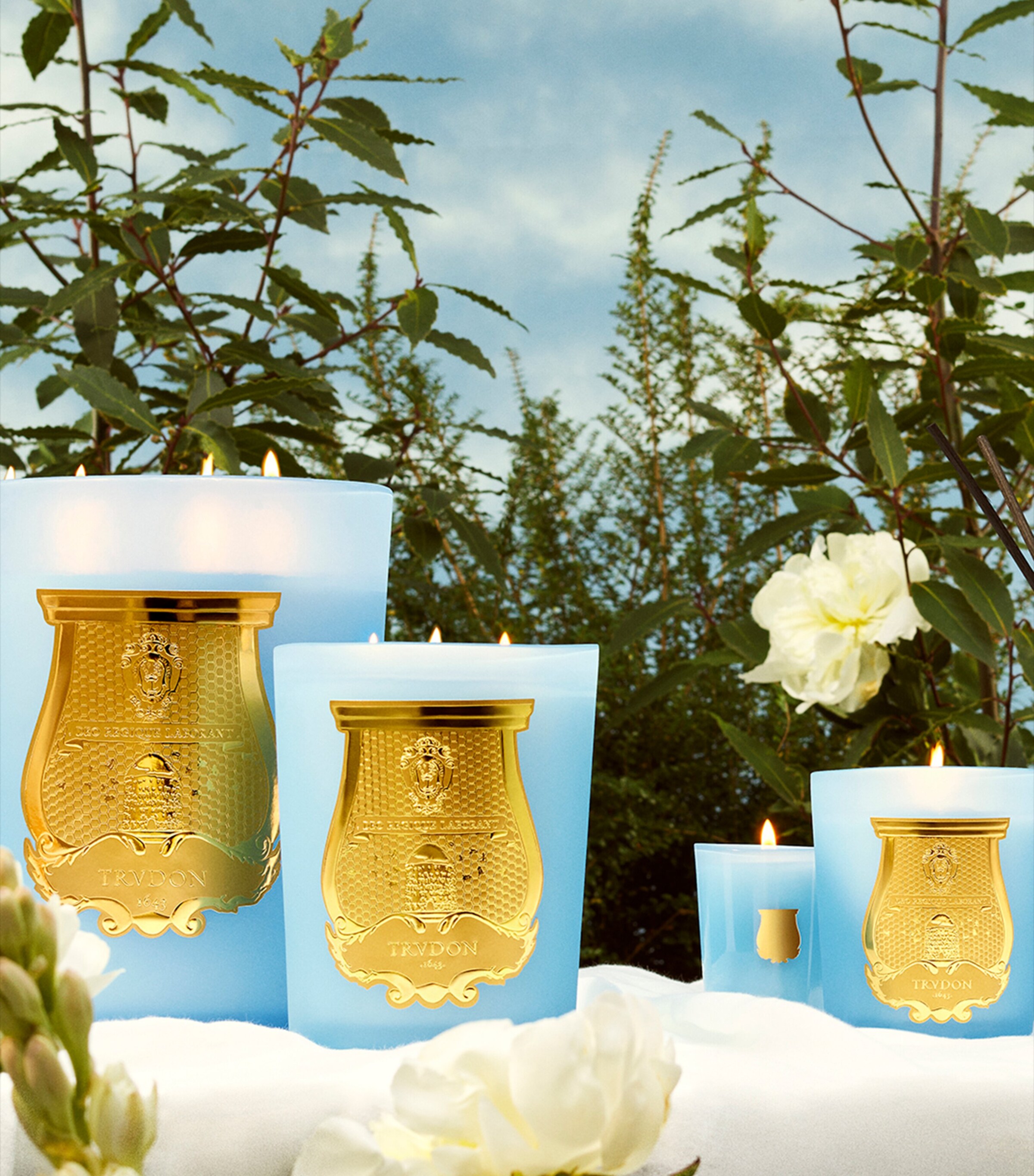 Great Versailles Scented Candle (2.8kg) BLUE Image 4