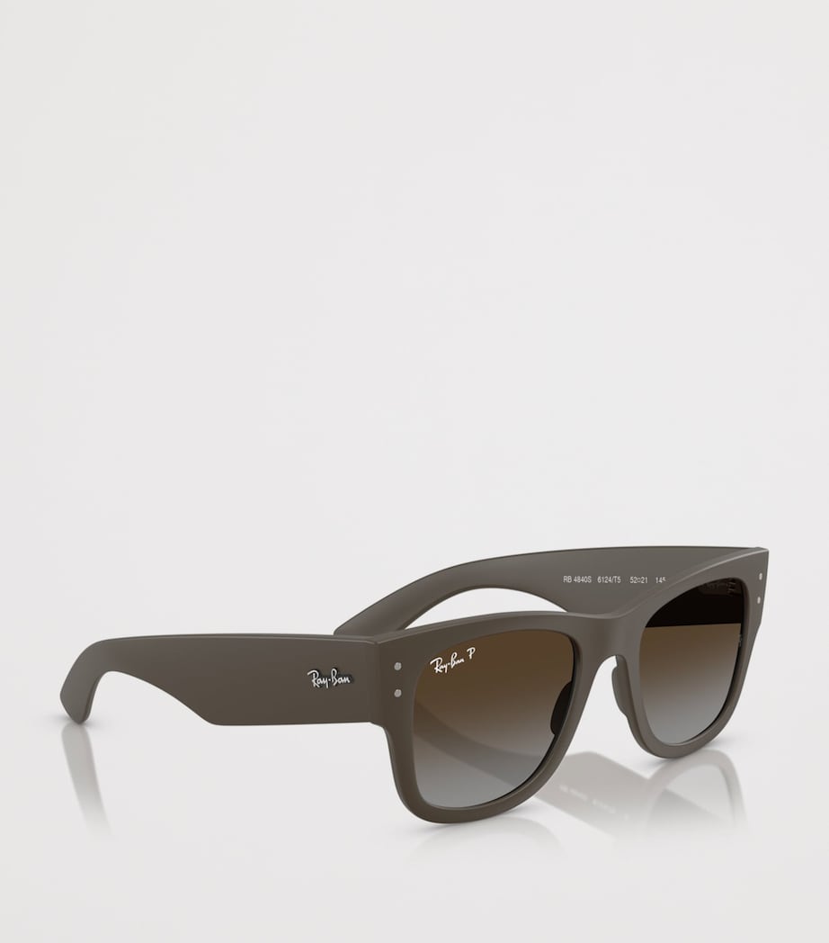 Ray-Ban Mega Wayfarer Liteforce Sunglasses Brown Image 6