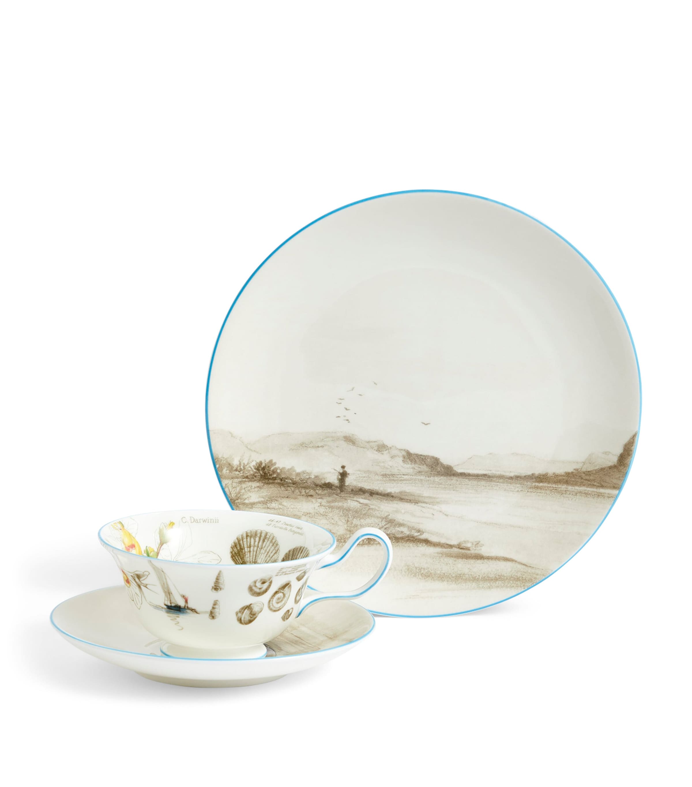 Voyage of the Beagle Brazil Plate, Teacup and Saucer Set MULTI Image 8