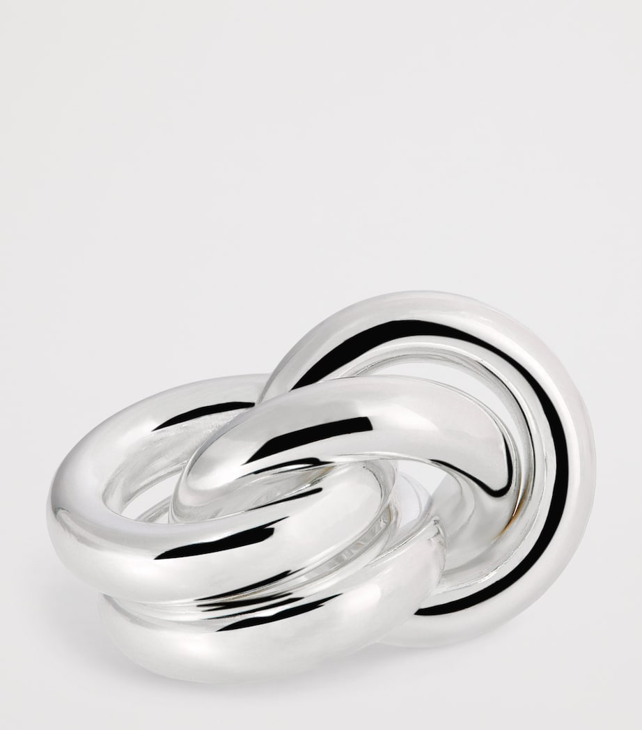 Sterling Silver The Vera Earrings SILVER Image 5