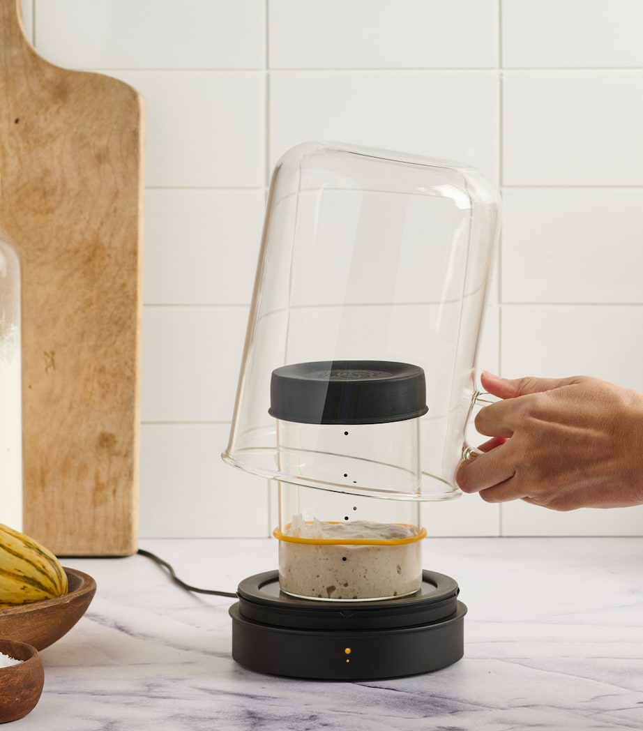 Goldie Heated Sourdough Starter Kit BLACK Image 3