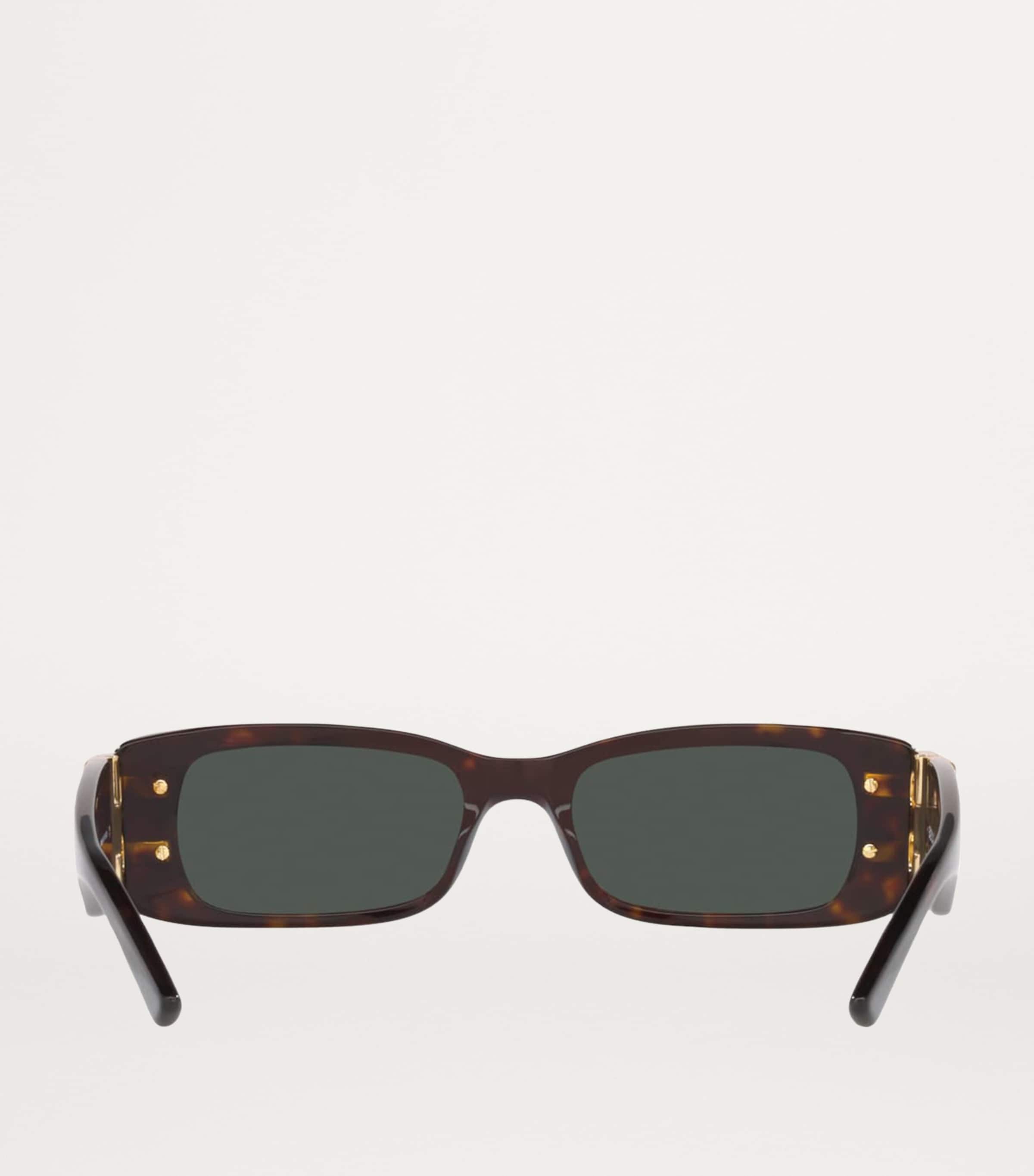 Balenciaga Acetate 6E+253 Sunglasses Image 4