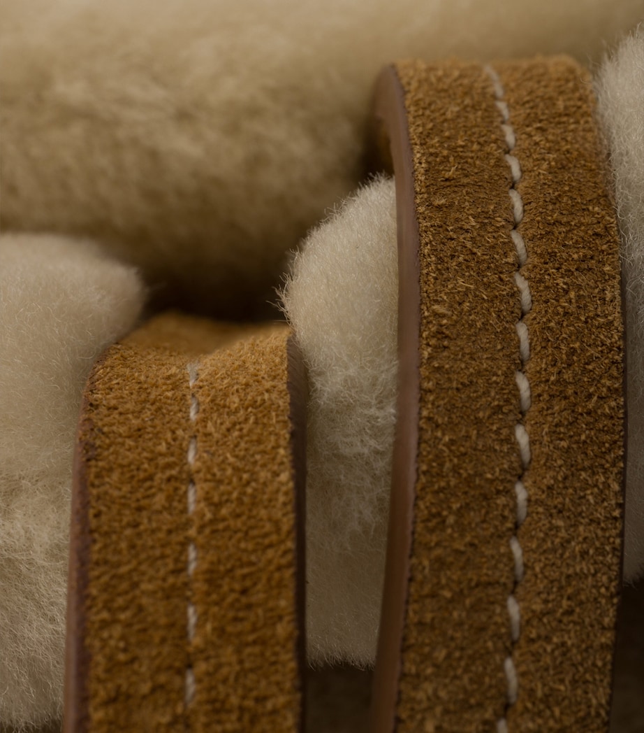 Large Shearling Tote Bag F0379 Image 5